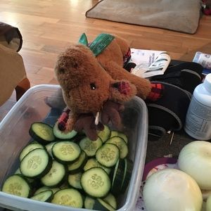 Meet your Posher, Hope